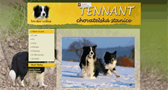Desktop Screenshot of border-collie.cz